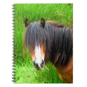 HORSES NOTEBOOK
