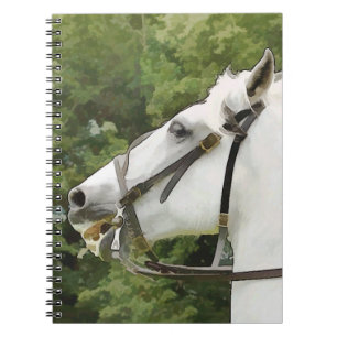 HORSES NOTEBOOK