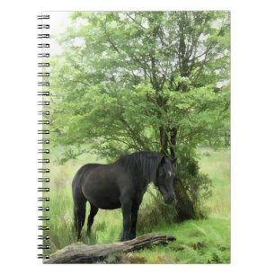HORSES NOTEBOOK