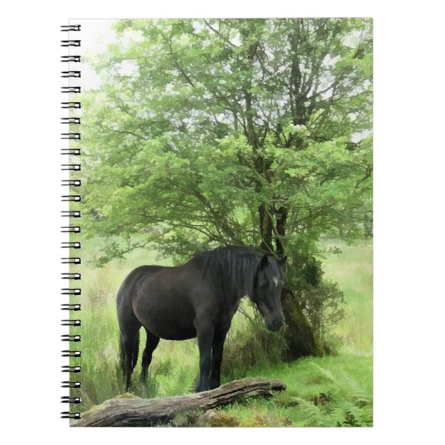 HORSES NOTEBOOK (Front)