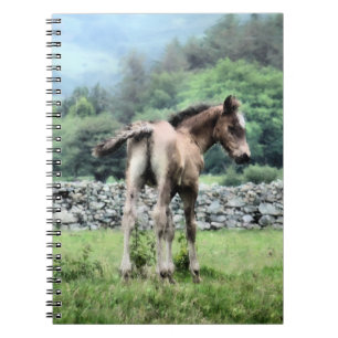 HORSES NOTEBOOK