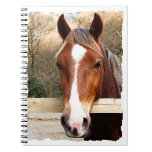 HORSES NOTEBOOK