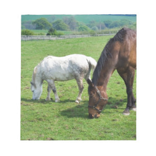 Horses Notepad