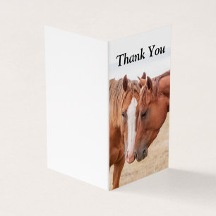 Horses nuzzling in a pasture