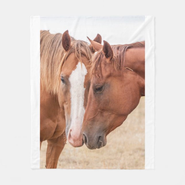 Horses nuzzling in a pasture fleece blanket (Front)