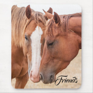 Horses nuzzling in a pasture mouse pad
