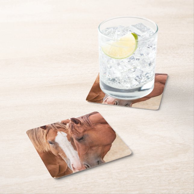 Horses nuzzling in a pasture square paper coaster (Insitu)