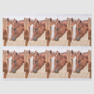 Horses nuzzling in a pasture tissue paper