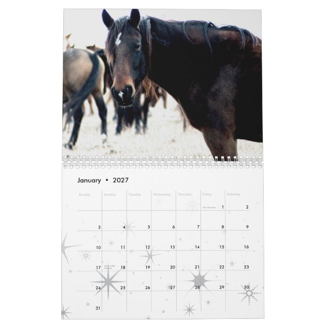 Horses of the Flint Hills Calendar (Jan 2027)
