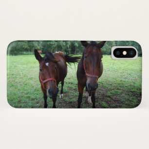 Horses on pasture iPhone x case