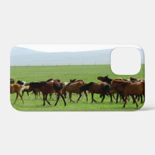 Horses on Pasture - Landscape Photograph iPhone 12 Mini Case