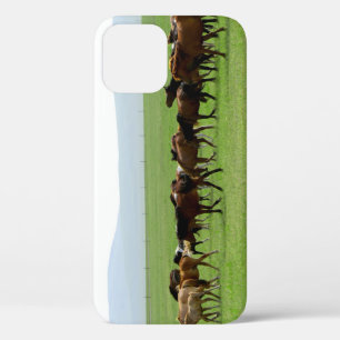 Horses on Pasture - Landscape Photograph iPhone 12 Case