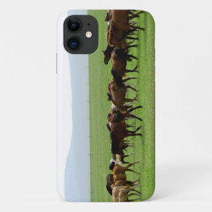 Horses on Pasture - Landscape Photograph iPhone 11 Case