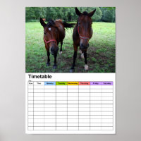 Horses on pasture / Timetable
