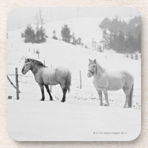 Horses on ranch coaster