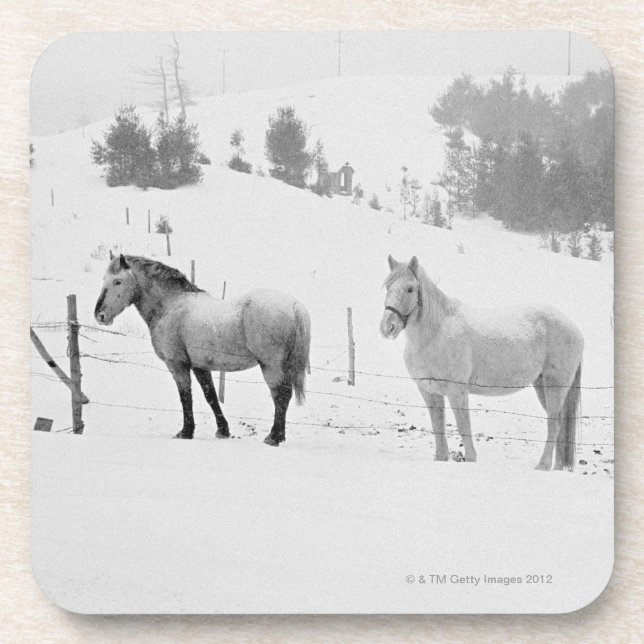 Horses on ranch coaster (Front)