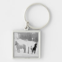 Horses on ranch