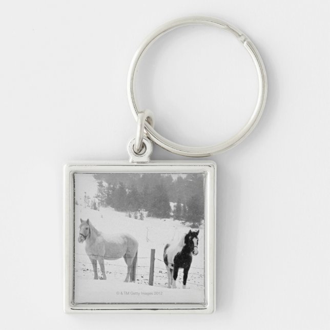 Horses on ranch key ring (Front)