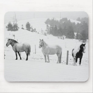 Horses on ranch mouse pad