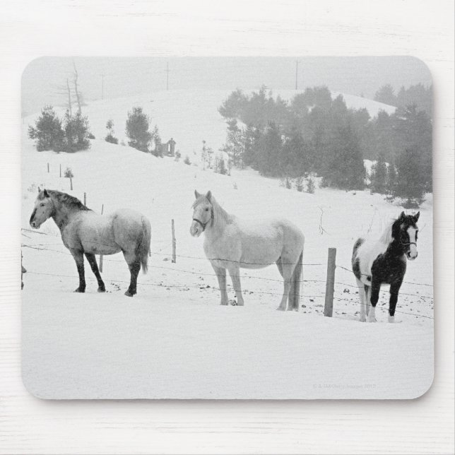 Horses on ranch mouse pad (Front)