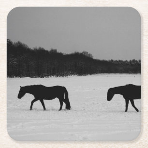 Horses On Snow coastercn Square Paper Coaster