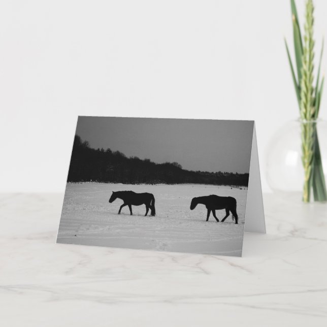 Horses On Snow gccnm Card (Front)