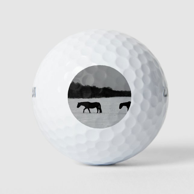 Horses On Snow wu gbcna Golf Balls (Front)