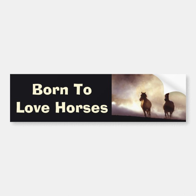 Horses On The Hill Bumper Sticker (Front)