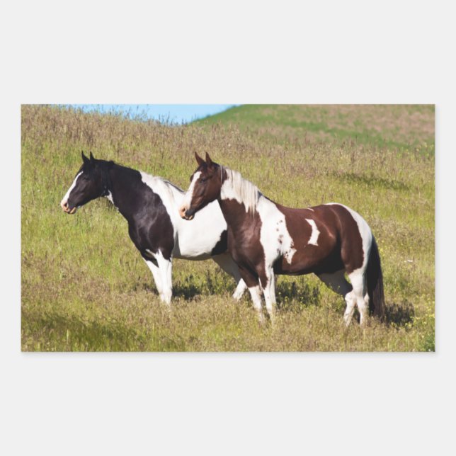 Horses on the hillside rectangular sticker (Front)