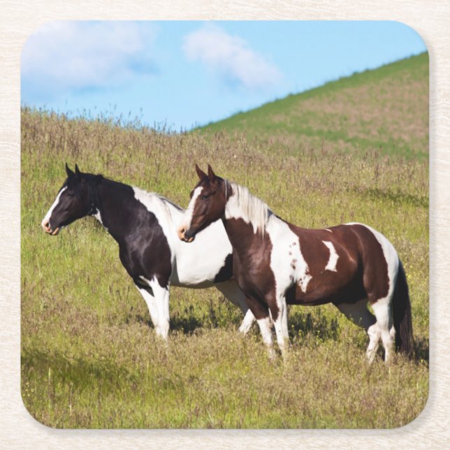 Horses on the hillside square paper coaster (Front)
