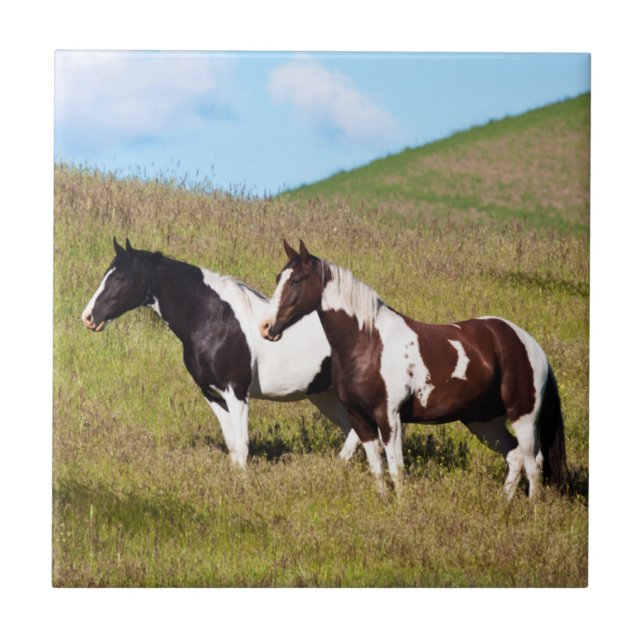 Horses on the hillside tile (Front)