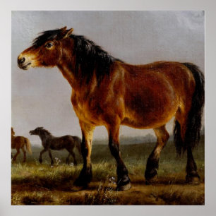 Horses on the Plain Landscape Poster
