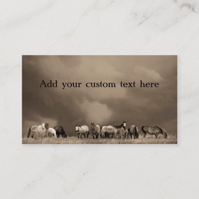 Horses on the Prairie Business Cards (Front)