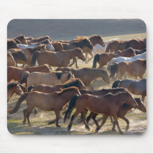 Horses on the ranch, Inner Mongolia, China Mouse Pad