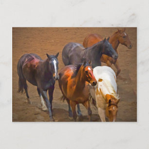 Horses On The Run Postcard