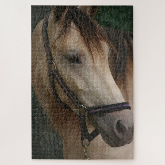 Horses peeking their heads over stall doors jigsaw puzzle (Vertical)