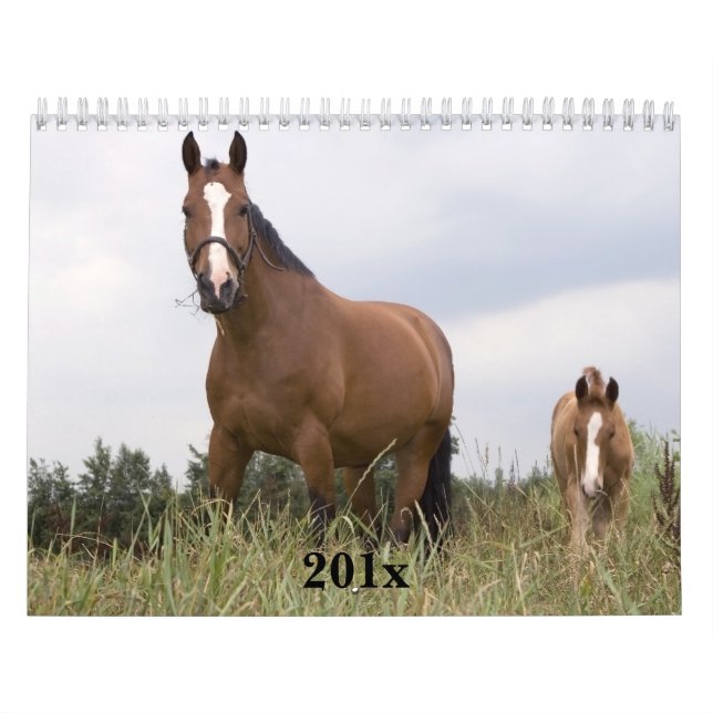 Horses Personalised Calendar (Cover)