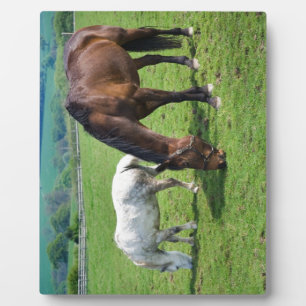 Horses Plaque