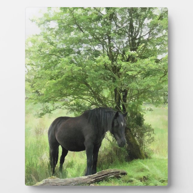 HORSES PLAQUE (Front)