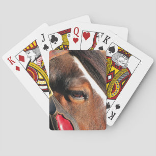 HORSES PLAYING CARDS