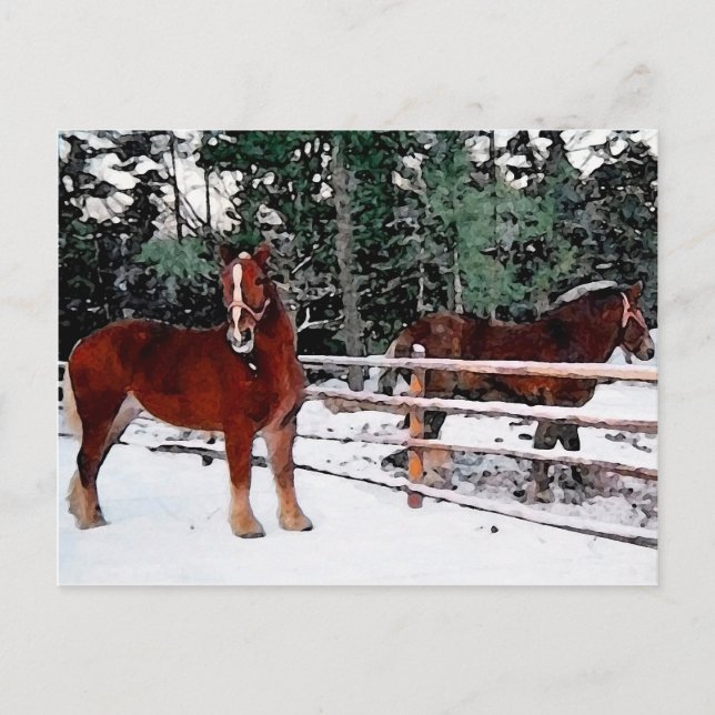 Horses Postcard (Front)