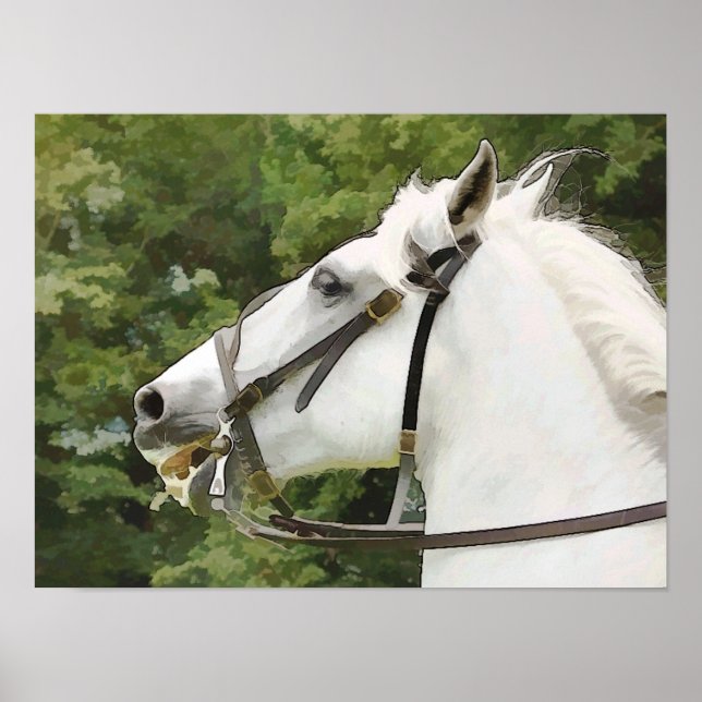 HORSES POSTER (Front)