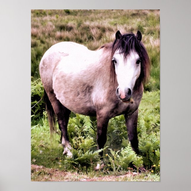 HORSES POSTER (Front)