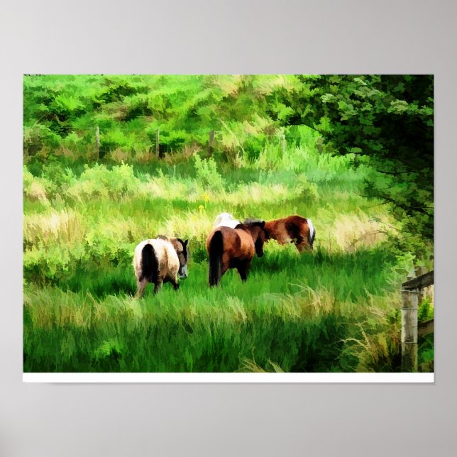 HORSES POSTER (Front)