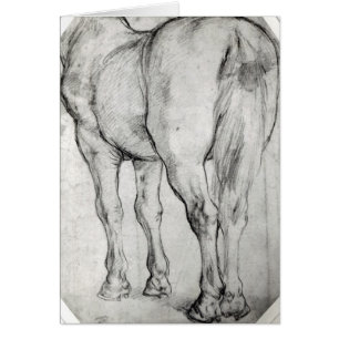 Horse's Rear