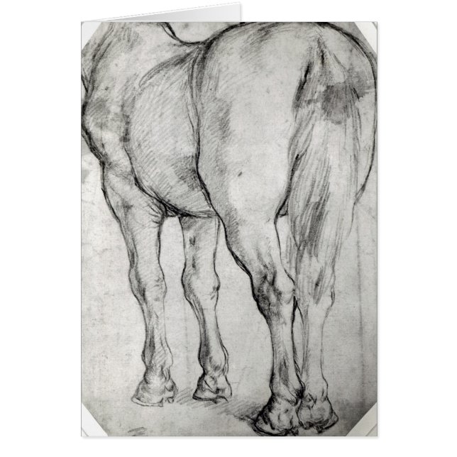 Horse's Rear (Front)