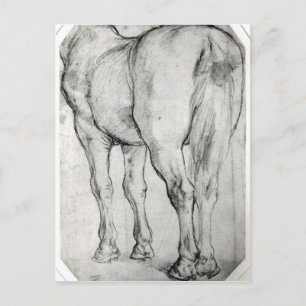 Horse's Rear Postcard