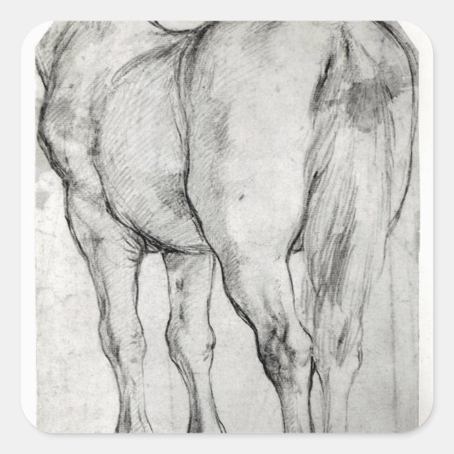 Horse's Rear Square Sticker (Front)