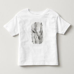 Horse's Rear Toddler T-Shirt