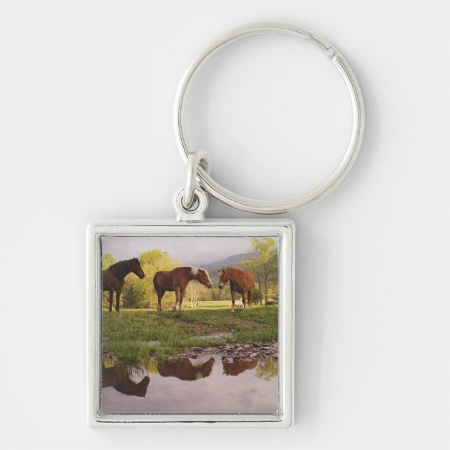 Horses reflected in small stream, Cades Cove, Key Ring (Front)